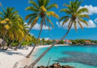 Curaçao-Strand mit türkisfarbenem Wasser und Palmen